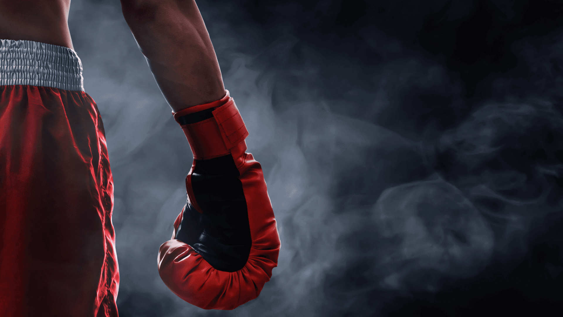 How To Pick The Right Boxer To Bet On image